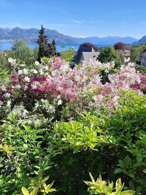 La Finestra Sul Lago - In Villa Con Vista E Posto Auto Coperto Stresa Exterior foto